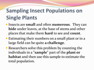 Sampling Insect Populations on
Single Plants
 Insects are small and often numerous. They can
hide under leaves, at the base of stems and other
places that make them hard to see and count.
 Estimating their numbers on a small plant or in a
large field can be quite a challenge.
 Researchers solve this problem by counting the
individuals in a "sample" part of the plant or

habitat and then use this sample to estimate the
total population.

 