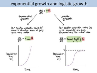 exponential growth and logistic growth
 