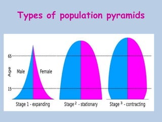 Types of population pyramids
32
 