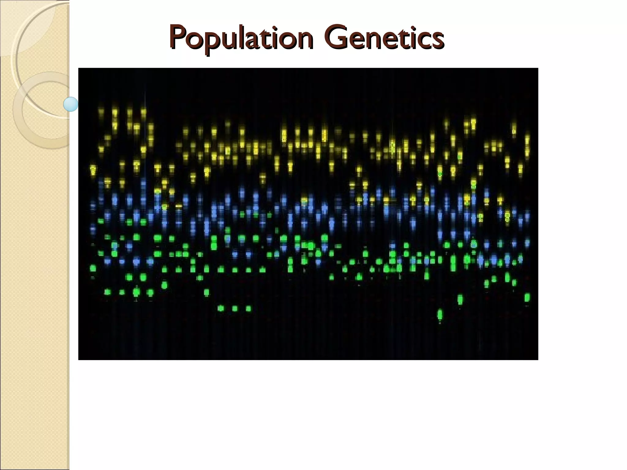 Population genetic ppt | PPT