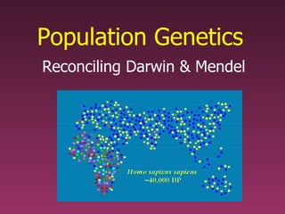Population Genetics Reconciling Darwin & Mendel 