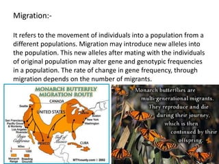 Migration:-
It refers to the movement of individuals into a population from a
different populations. Migration may introduce new alleles into
the population. This new alleles after mating with the individuals
of original population may alter gene and genotypic frequencies
in a population. The rate of change in gene frequency, through
migration depends on the number of migrants.
 