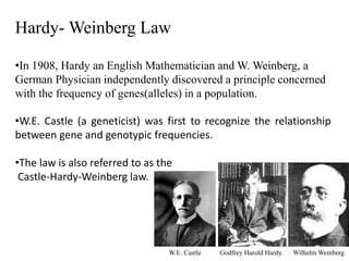 Hardy- Weinberg Law
•In 1908, Hardy an English Mathematician and W. Weinberg, a
German Physician independently discovered a principle concerned
with the frequency of genes(alleles) in a population.
•W.E. Castle (a geneticist) was first to recognize the relationship
between gene and genotypic frequencies.
•The law is also referred to as the
Castle-Hardy-Weinberg law.
Godfrey Harold Hardy. Wilhelm WeinbergW.E. Castle
 