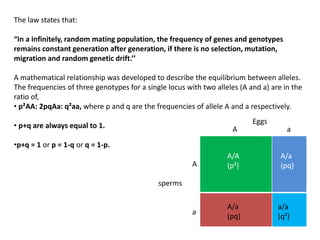 The law states that:
“In a infinitely, random mating population, the frequency of genes and genotypes
remains constant generation after generation, if there is no selection, mutation,
migration and random genetic drift.’’
A mathematical relationship was developed to describe the equilibrium between alleles.
The frequencies of three genotypes for a single locus with two alleles (A and a) are in the
ratio of,
• p²AA: 2pqAa: q²aa, where p and q are the frequencies of allele A and a respectively.
• p+q are always equal to 1.
•p+q = 1 or p = 1-q or q = 1-p.
A
sperms
a
Eggs
A a
A/A
(p²)
A/a
(pq)
A/a
(pq)
a/a
(q²)
 