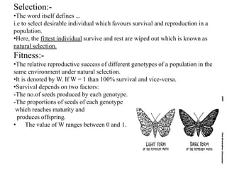 Selection:-
•The word itself defines ...
i.e to select desirable individual which favours survival and reproduction in a
population.
•Here, the fittest individual survive and rest are wiped out which is known as
natural selection.
Fitness:-
•The relative reproductive success of different genotypes of a population in the
same environment under natural selection.
•It is denoted by W. If W = 1 than 100% survival and vice-versa.
•Survival depends on two factors:
-The no.of seeds produced by each genotype.
-The proportions of seeds of each genotype
which reaches maturity and
produces offspring.
• The value of W ranges between 0 and 1.
 