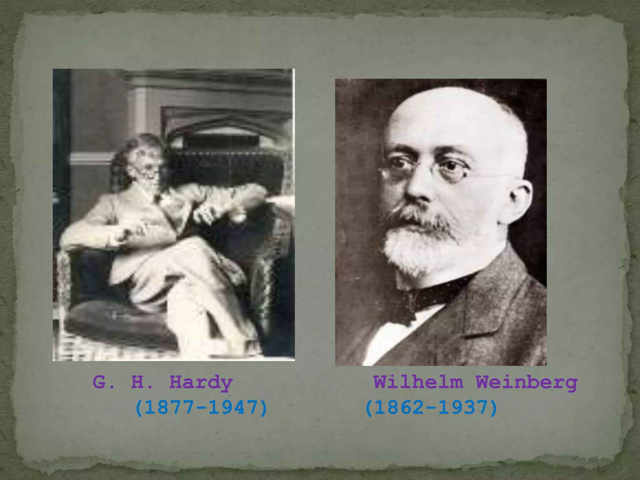 Population genetics-hardy weinberg equilibrium and non random matting | PPT