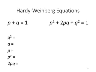 Hardy-Weinberg Equations
p + q = 1
q2 =
q =
p =
p2 =
2pq =
p2 + 2pq + q2 = 1
14
 