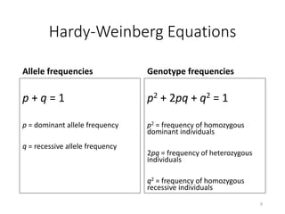 1307 Population genetics | PPTX