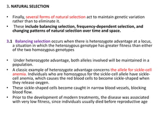 Population genetics | PPTX