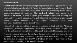 Population Genetics.pptx