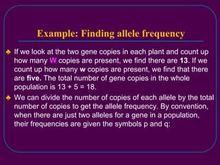 Population Genetics.ppt