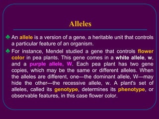 Population Genetics.ppt