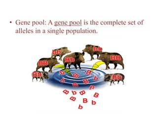 Population Genetics_Dr. Ashwin Atkulwar | PDF