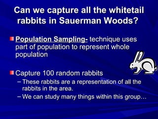 Can we capture all the whitetail
 rabbits in Sauerman Woods?

Population Sampling- technique uses
part of population to represent whole
population

Capture 100 random rabbits
– These rabbits are a representation of all the
  rabbits in the area.
– We can study many things within this group…
 