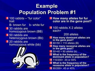 Example
      Population Problem #1
100 rabbits – “fur color”   How many alleles for fur
trait                       color are in the gene pool?
B- brown fur b- white fur
30 rabbits are              100 rabbits X 2 alleles
homozygous brown (BB)       each=
50 rabbits are                     200 alleles
heterozygous brown (Bb)     How many dominant alleles are
                            in the gene pool?
20 rabbits are              60+50 = 110 alleles (B)
homozygous white (bb)       How many recessive alleles are
                            in the gene pool?
                            50+40 = 90 alleles (b)
                            What is the frequency of the
                            dominant allele in population?
                            110/200= .55 or 55%
                            What is the frequency of the
                            recessive allele in population?
                            90/200= .45 or 45%
 