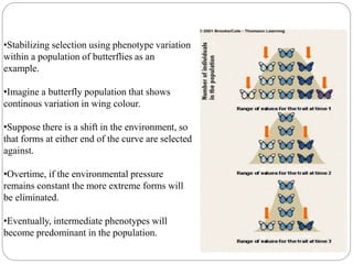 ASSORTIVE MATING AND GENE FREQUENCY CHANGES (POPULATION GENETICS) | PPTX
