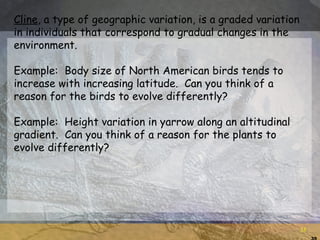 Population genetics with qs | PPT