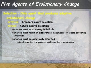 Population genetics with qs | PPT