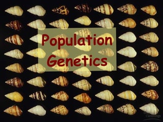 Population Genetics 
