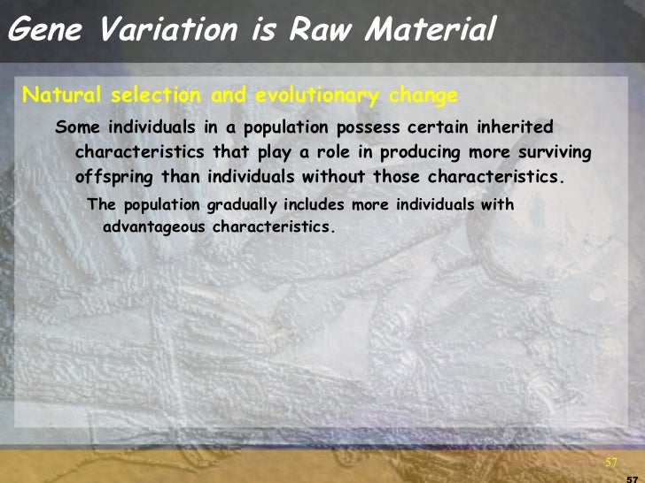 Natural Selection Does Not Produce Perfect Organisms Natural Selection Does Not Produce Perfect Organisms