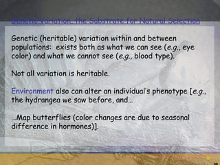Phenotypically Variable Within Population Example Population genetics with qs | PPT