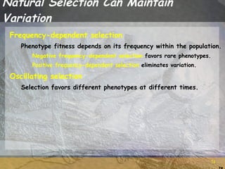 Phenotypically Variable Within Population Example Population genetics with qs | PPT