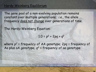 18
18
Hardy-Weinberg Equilibrium
The gene pool of a non-evolving population remains
constant over multiple generations; i.e., the allele
frequency does not change over generations of time.
The Hardy-Weinberg Equation:
1.0 = p2 + 2pq + q2
where p2 = frequency of AA genotype; 2pq = frequency of
Aa plus aA genotype; q2 = frequency of aa genotype
 