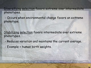 30
30
Diversifying selection favors extreme over intermediate
phenotypes.
- Occurs when environmental change favors an extreme
phenotype.
Stabilizing selection favors intermediate over extreme
phenotypes.
- Reduces variation and maintains the current average.
- Example = human birth weights.
 