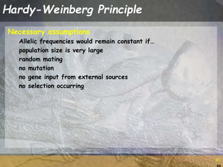 43
43
Hardy-Weinberg Principle
Necessary assumptions
Allelic frequencies would remain constant if…
population size is very large
random mating
no mutation
no gene input from external sources
no selection occurring
 