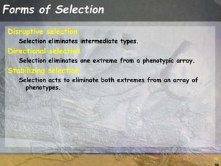 58
58
Forms of Selection
Disruptive selection
Selection eliminates intermediate types.
Directional selection
Selection eliminates one extreme from a phenotypic array.
Stabilizing selection
Selection acts to eliminate both extremes from an array of
phenotypes.
 