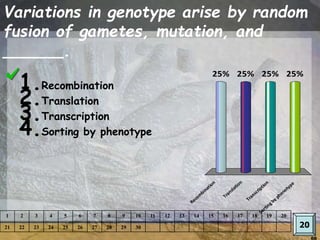 66
Variations in genotype arise by random
fusion of gametes, mutation, and
______.
66
Recom
bination
Translation
Transcription
Sorting by phenotype
25% 25%25%25%
20
1 2 3 4 5 6 7 8 9 10 11 12 13 14 15 16 17 18 19 20
21 22 23 24 25 26 27 28 29 30
1.Recombination
2.Translation
3.Transcription
4.Sorting by phenotype
 