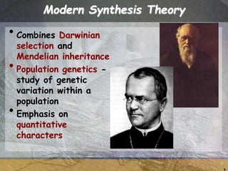 7
7
Modern Synthesis Theory
•Combines Darwinian
selection and
Mendelian inheritance
•Population genetics -
study of genetic
variation within a
population
•Emphasis on
quantitative
characters
 