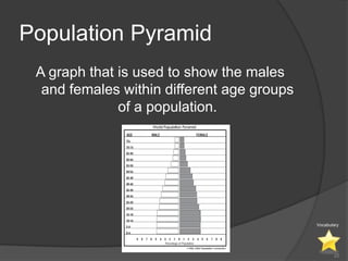 Population Pyramid
 A graph that is used to show the males
  and females within different age groups
              of a population.




                                            Vocabulary




                                                   22
 