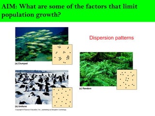 AIM: What are some of the factors that limit
population growth?
Dispersion patterns
 
