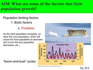 AIM: What are some of the factors that limit
population growth?
Population limiting factors
1. Biotic factors
c. Predation
Fig. 35.5
“boom-and-bust” cycles
As the hare population increases, so
does the Lynx population, which will
cause the hare population to decrease
and in turn the lynx population
decreases, etc…
 