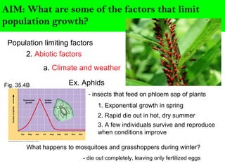 AIM: What are some of the factors that limit
population growth?
Population limiting factors
2. Abiotic factors
a. Climate and weather
Ex. Aphids
- insects that feed on phloem sap of plants
1. Exponential growth in spring
2. Rapid die out in hot, dry summer
3. A few individuals survive and reproduce
when conditions improve
What happens to mosquitoes and grasshoppers during winter?
- die out completely, leaving only fertilized eggs
Fig. 35.4B
 