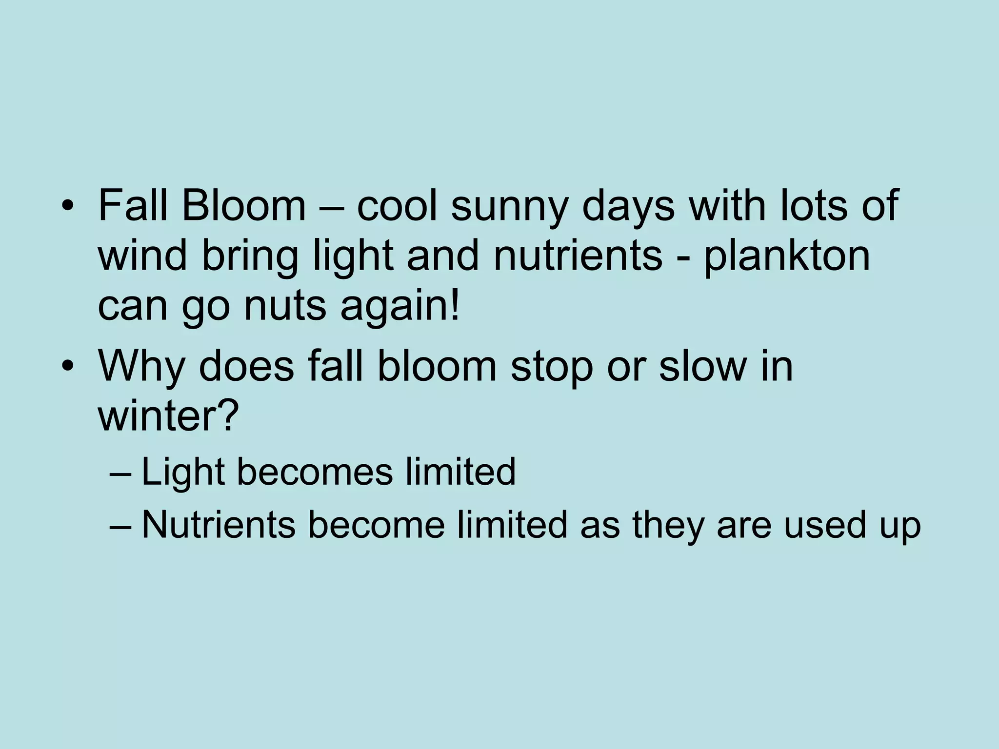 Fall Bloom – cool sunny days with lots of wind bring light and nutrients - plankton can go nuts again! Why does fall bloom stop or slow in winter? Light becomes limited Nutrients become limited as they are used up 
