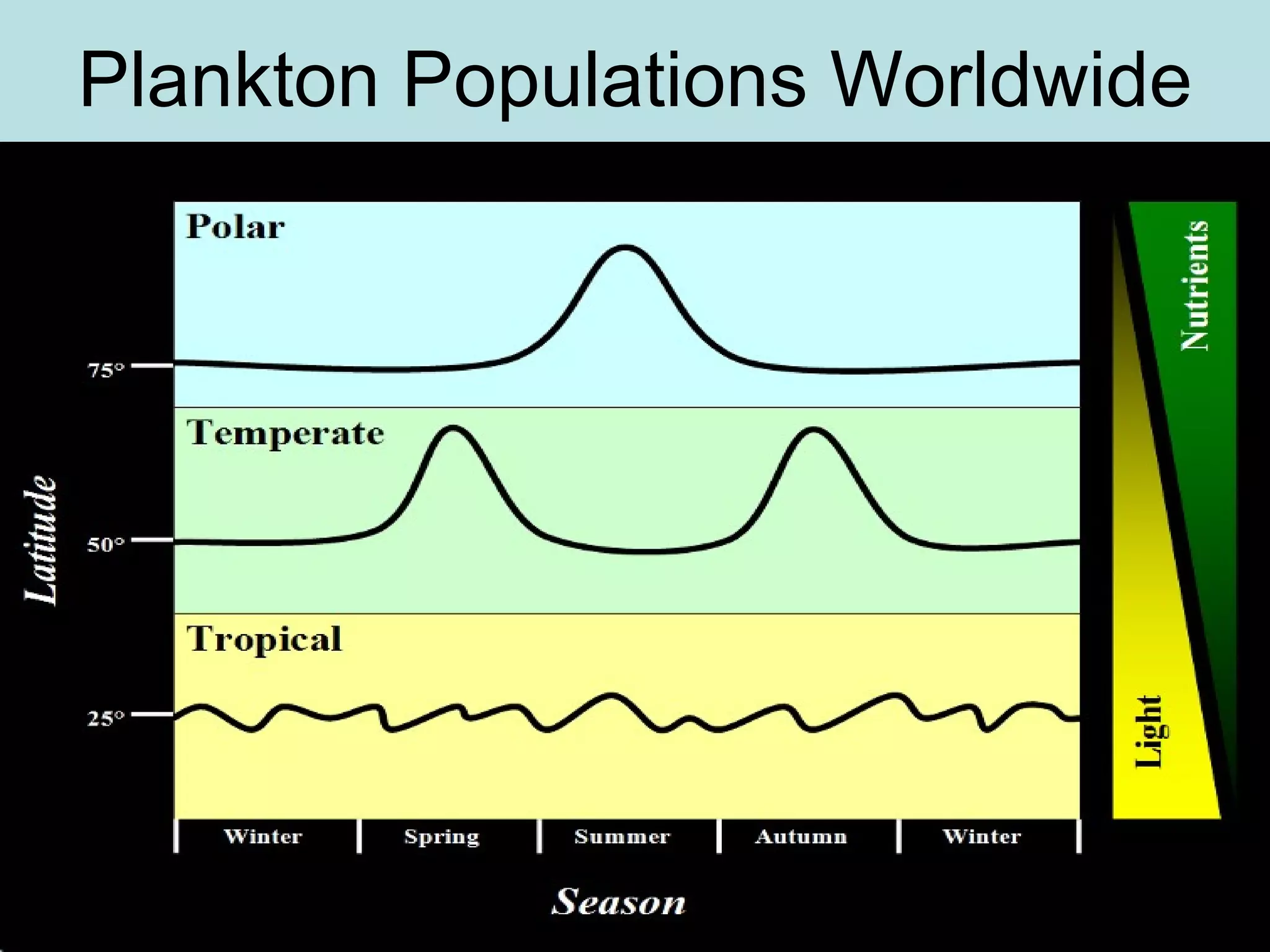 Plankton Populations Worldwide 