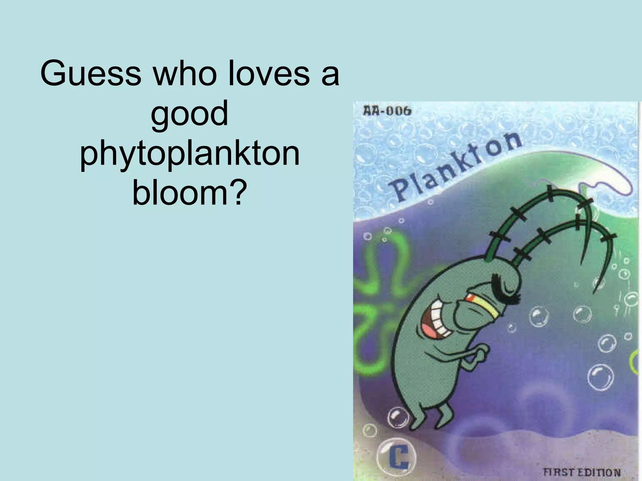 Guess who loves a good phytoplankton bloom? 