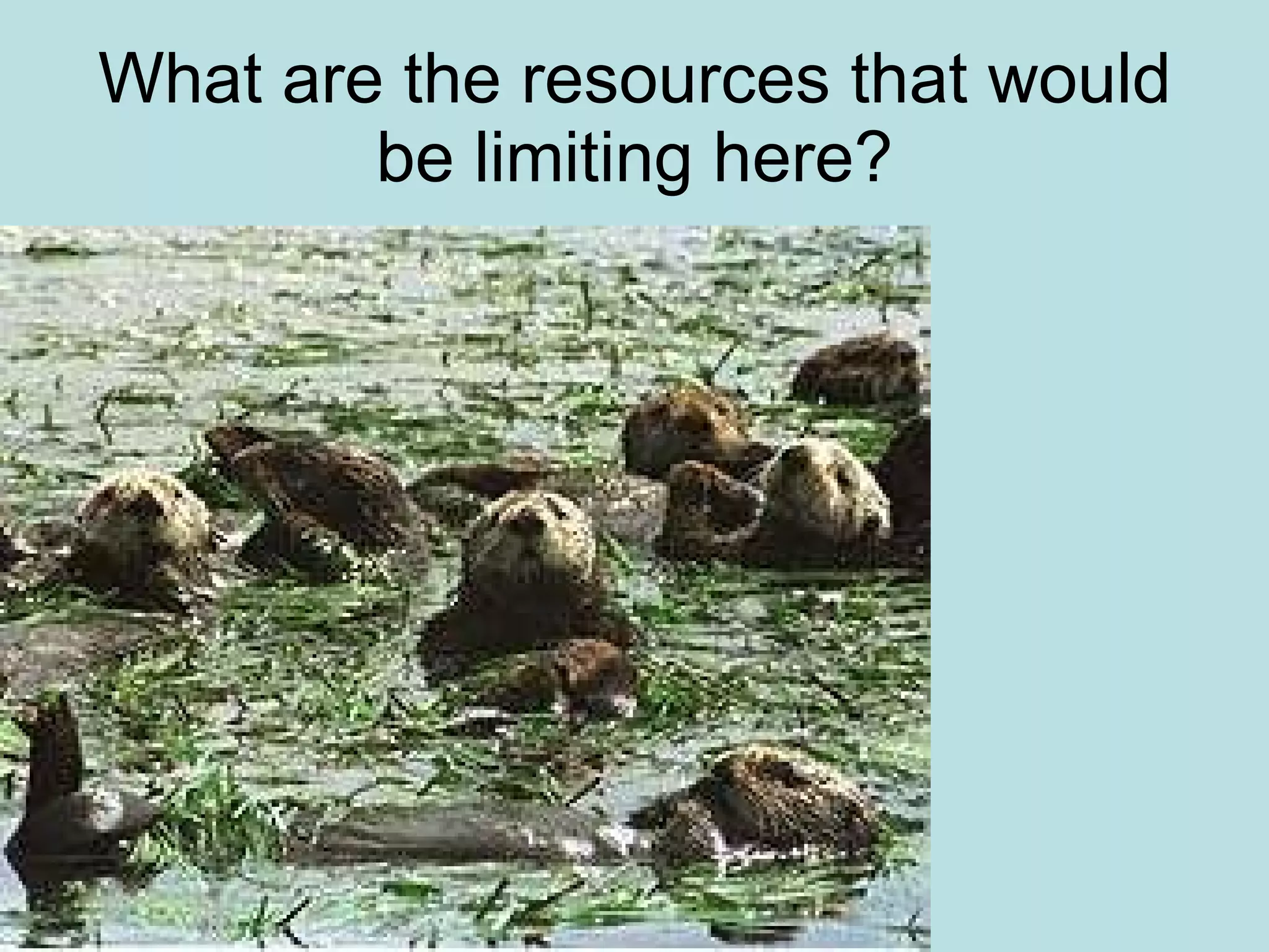 What are the resources that would be limiting here? 