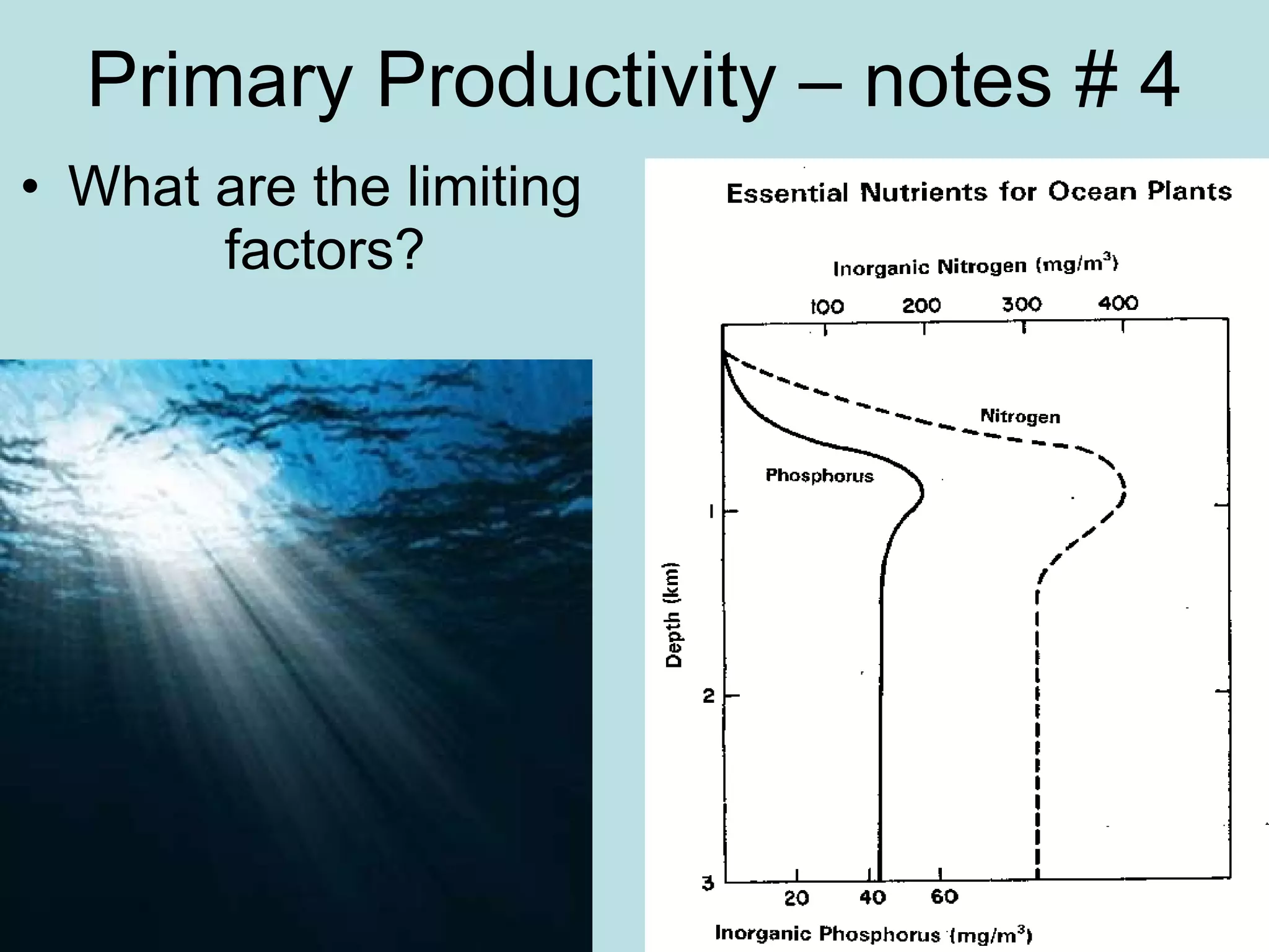 Primary Productivity – notes # 4 What are the limiting factors? 