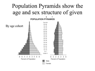 Population Pyramids show the age and sex structure of given populations By age cohort 