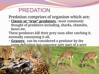 Predation Def population interaction 111111111111112ppt.pptx