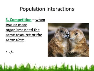Population interactions
3. Competition – when
two or more
organisms need the
same resource at the
same time
• -/-
 