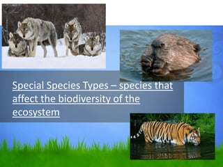 Special Species Types – species that
affect the biodiversity of the
ecosystem
 