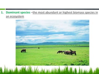 1. Dominant species –the most abundant or highest biomass species in
an ecosystem
 