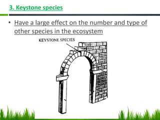 3. Keystone species
• Have a large effect on the number and type of
other species in the ecosystem
 