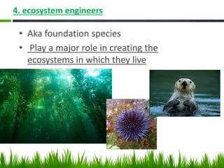 4. ecosystem engineers
• Aka foundation species
• Play a major role in creating the
ecosystems in which they live
 