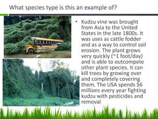 What species type is this an example of?
• Kudzu vine was brought
from Asia to the United
States in the late 1800s. It
was uses as cattle fodder
and as a way to control soil
erosion. The plant grows
very quickly (~1 foot/day)
and is able to outcompete
other plant species. It can
kill trees by growing over
and completely covering
them. The USA spends $6
millions every year fighting
kudzu with pesticides and
removal
 