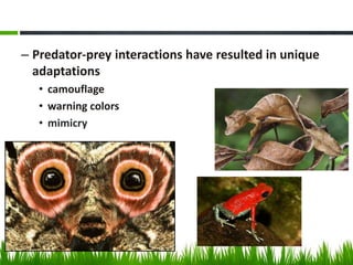 – Predator-prey interactions have resulted in unique
adaptations
• camouflage
• warning colors
• mimicry
 